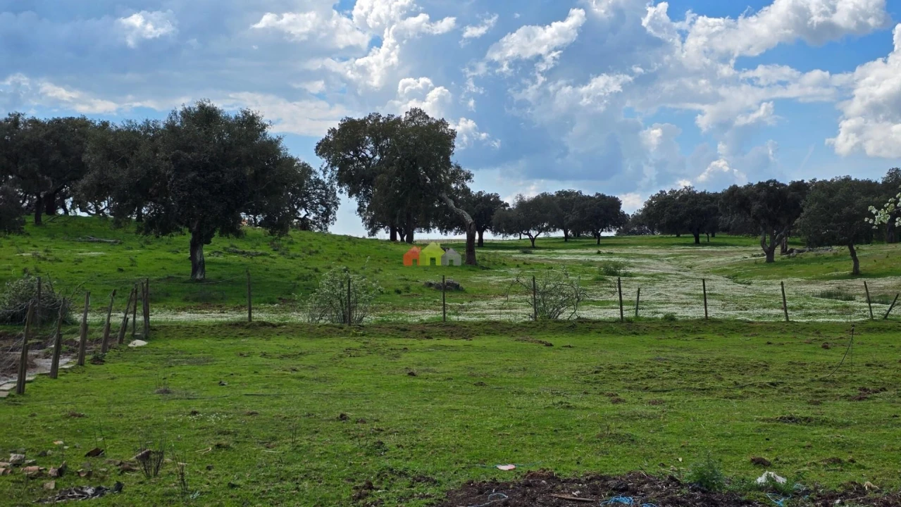 Quinta T2 para Venda em Nossa Senhora da Vila, Nossa Senhora do Bispo e Silveiras Foto 58