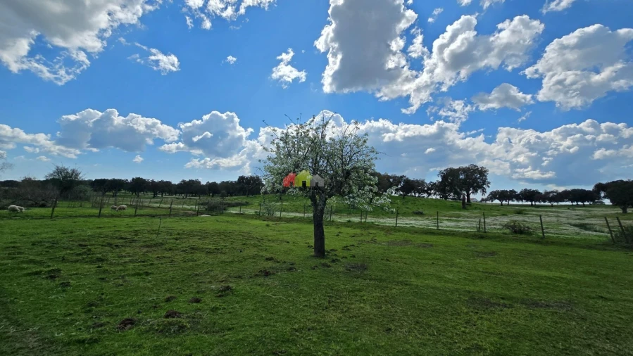 Quinta T2 para Venda em Nossa Senhora da Vila, Nossa Senhora do Bispo e Silveiras Foto 40