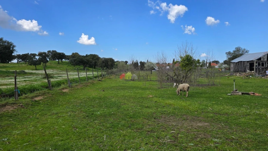 Quinta T2 para Venda em Nossa Senhora da Vila, Nossa Senhora do Bispo e Silveiras Foto 50