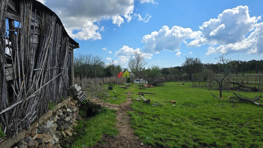 Quinta T2 para Venda em Nossa Senhora da Vila, Nossa Senhora do Bispo e Silveiras Foto 43