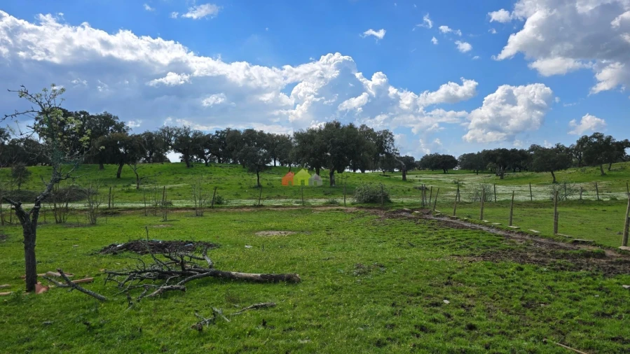 Quinta T2 para Venda em Nossa Senhora da Vila, Nossa Senhora do Bispo e Silveiras Foto 54