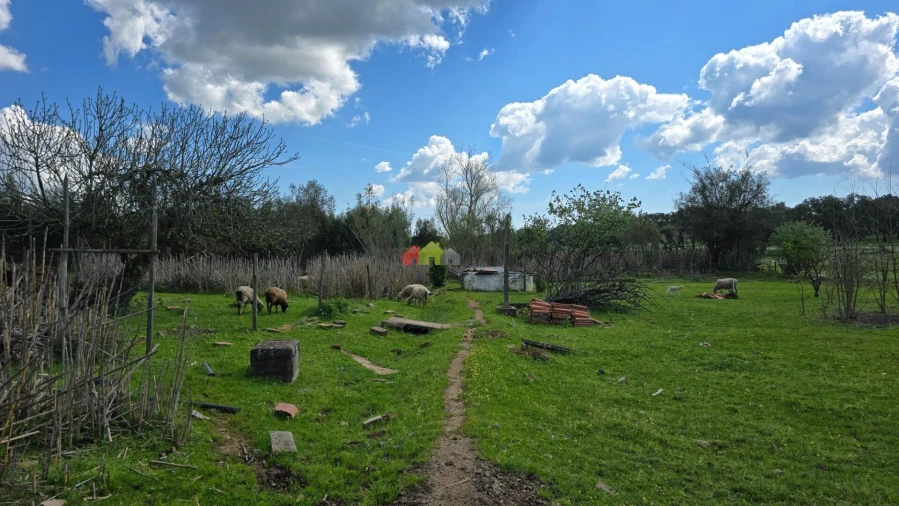 Quinta T2 para Venda em Nossa Senhora da Vila, Nossa Senhora do Bispo e Silveiras Foto 45