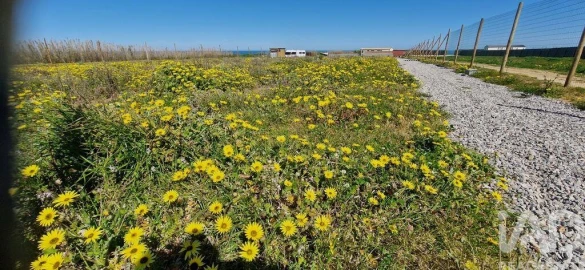 Terreno para Venda em Ferrel