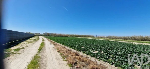 Terreno para Venda em Ferrel