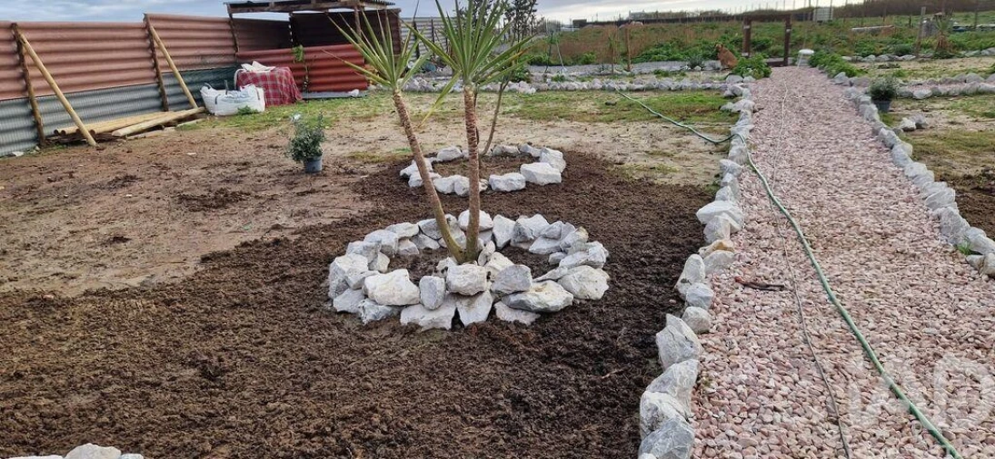 Terreno para Venda em Ferrel Foto 12