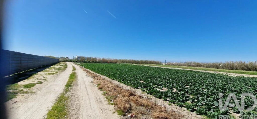 Terreno para Venda em Ferrel Foto 13