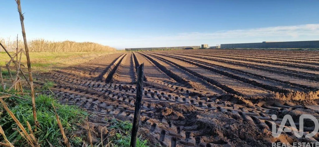 Terreno para Venda em Ferrel Foto 18