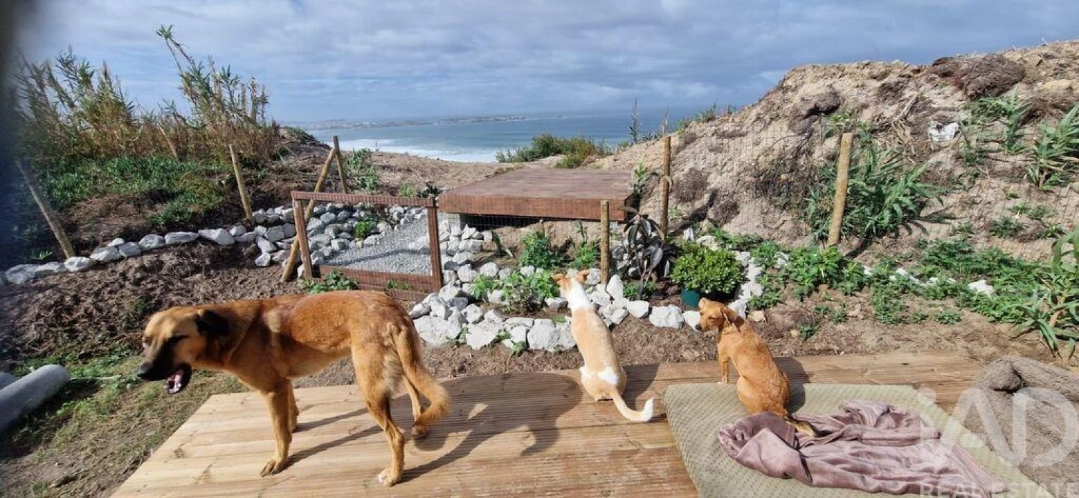 Terreno para Venda em Ferrel Foto 25