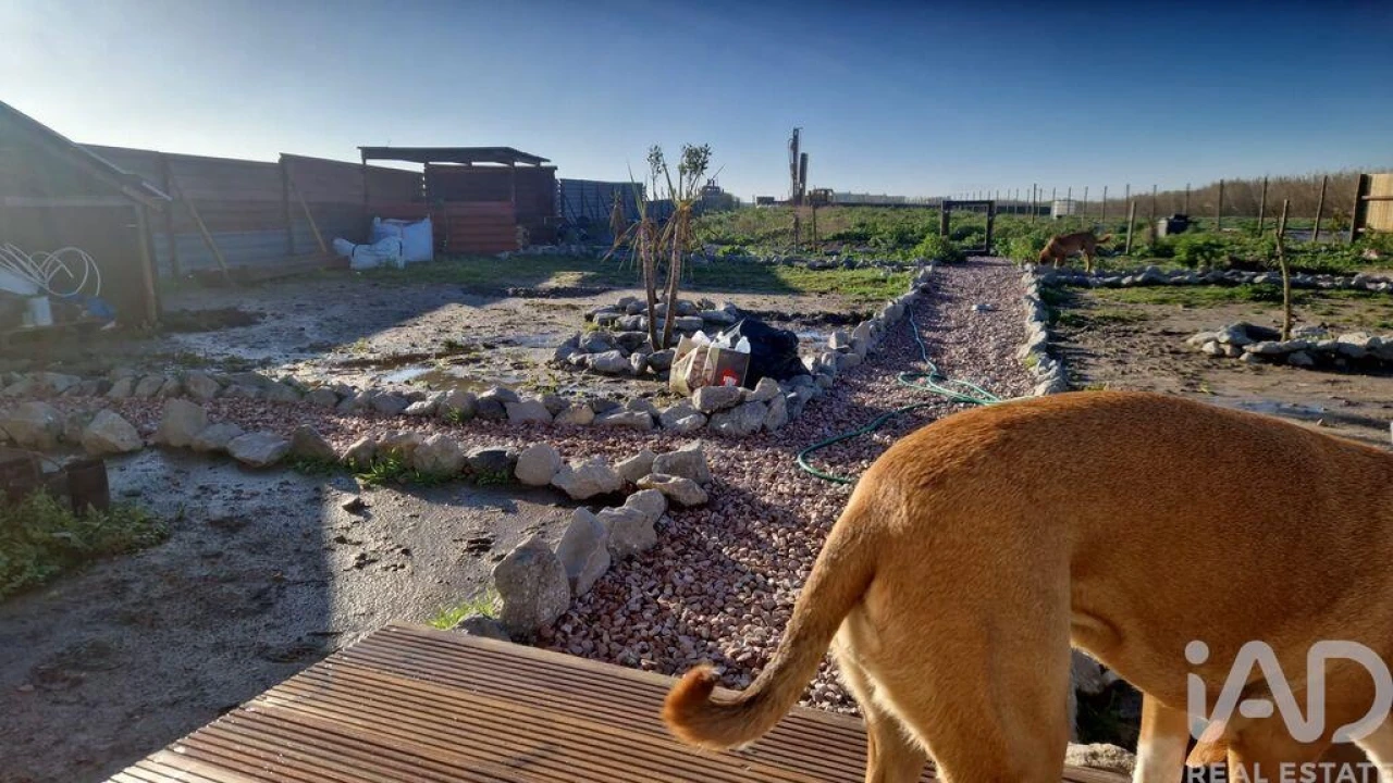 Terreno para Venda em Ferrel Foto 9