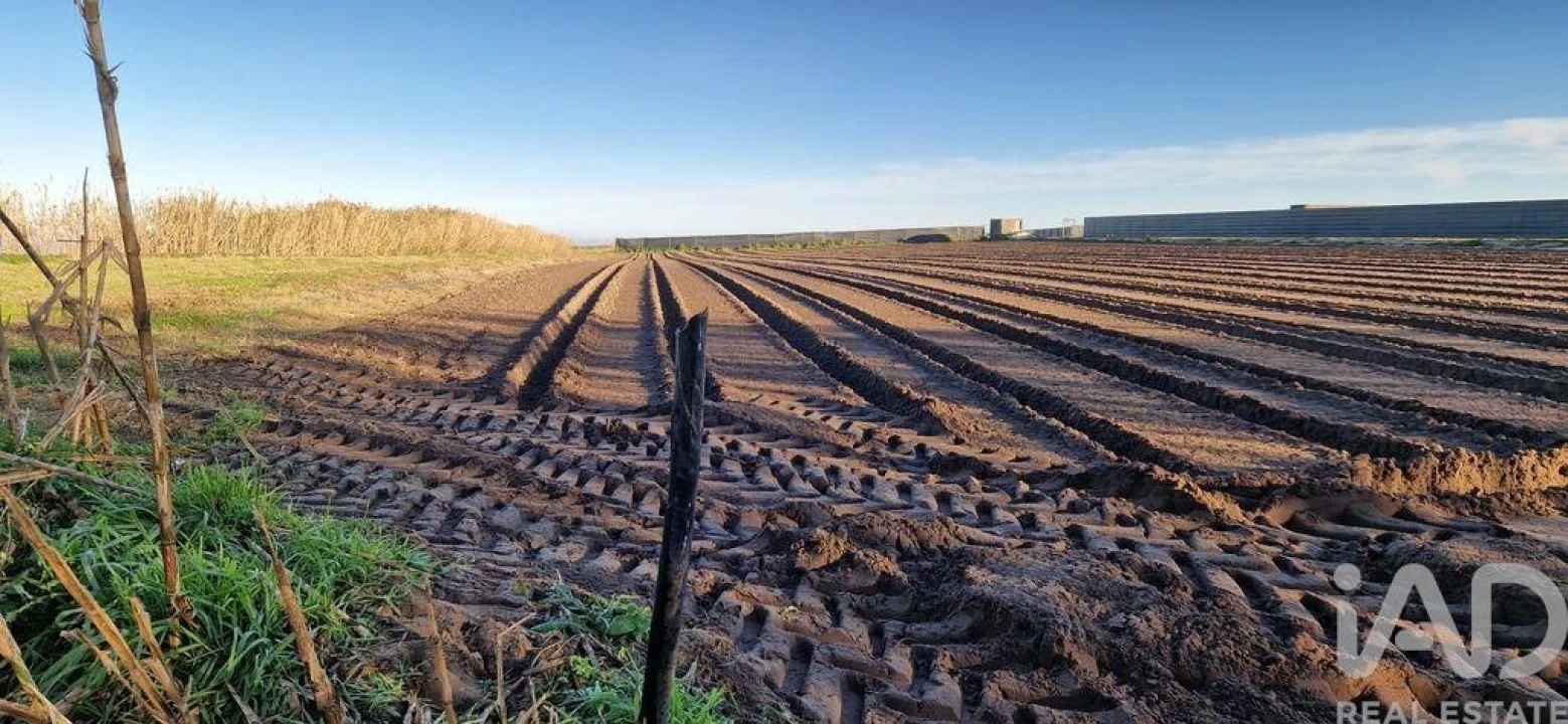Terreno para Venda em Ferrel Foto 18