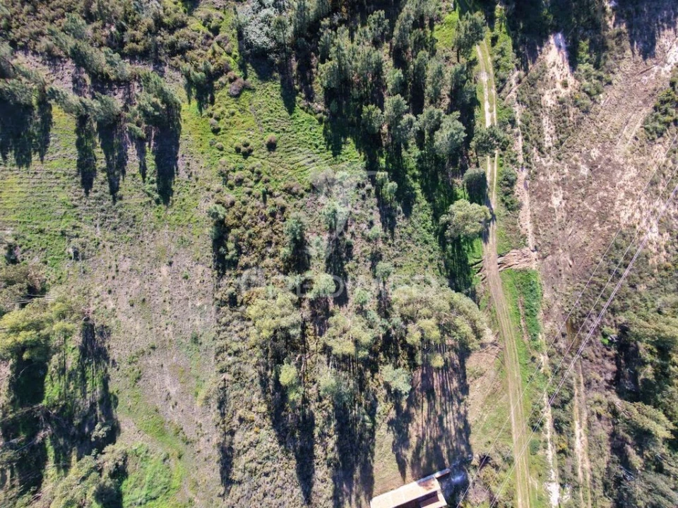 Terreno para Venda em Quinta do Anjo Foto 8