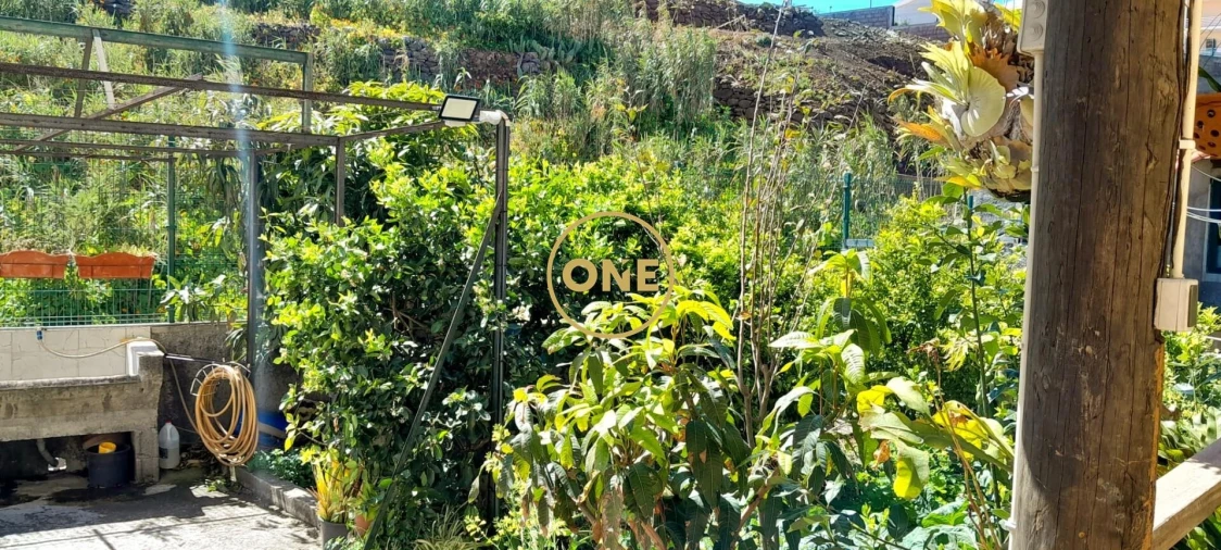Prédio para Venda em Caniço Foto 9