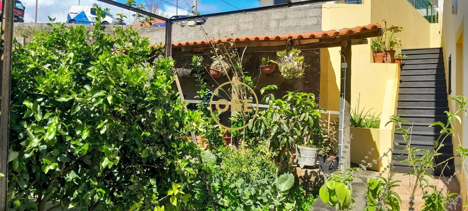 Prédio para Venda em Caniço Foto 12