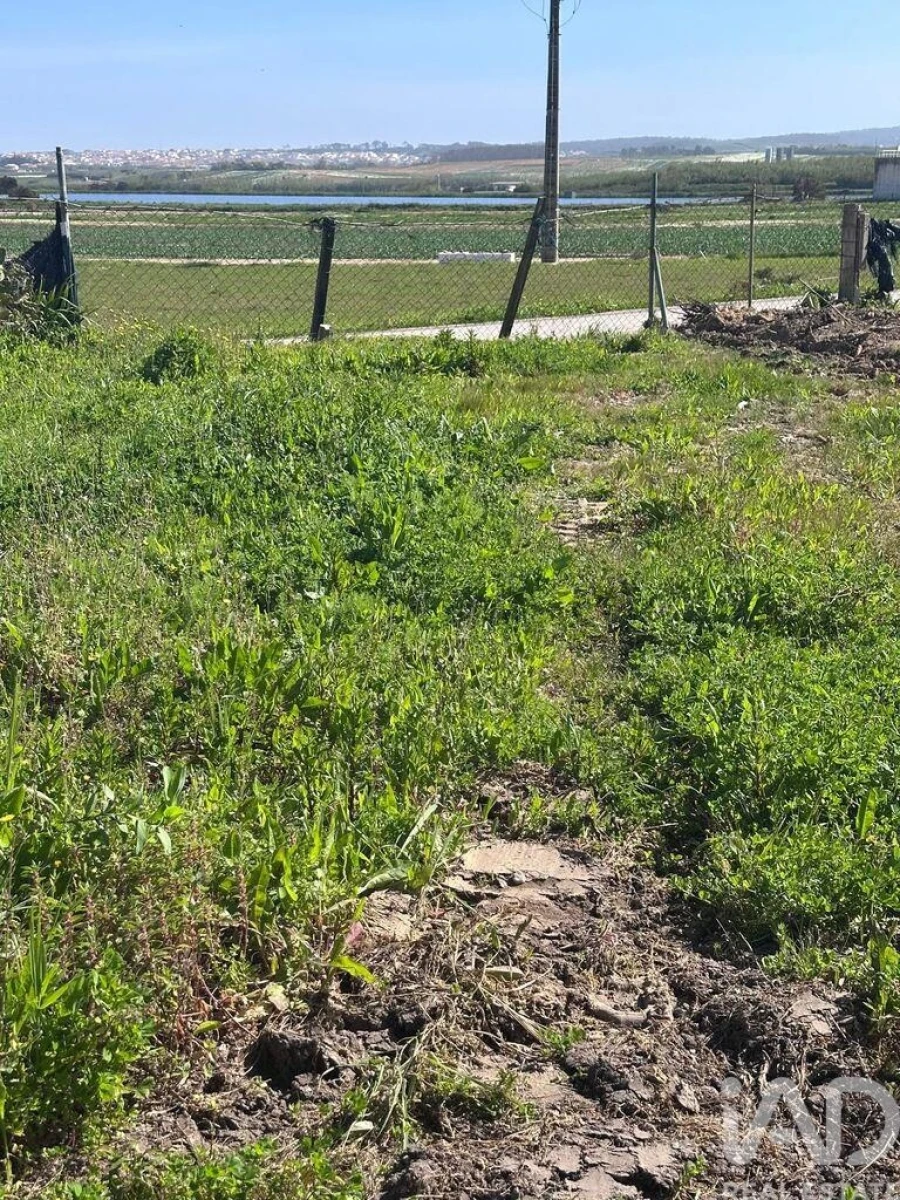 Moradia T3 para Arrendamento em Atouguia da Baleia Foto 27