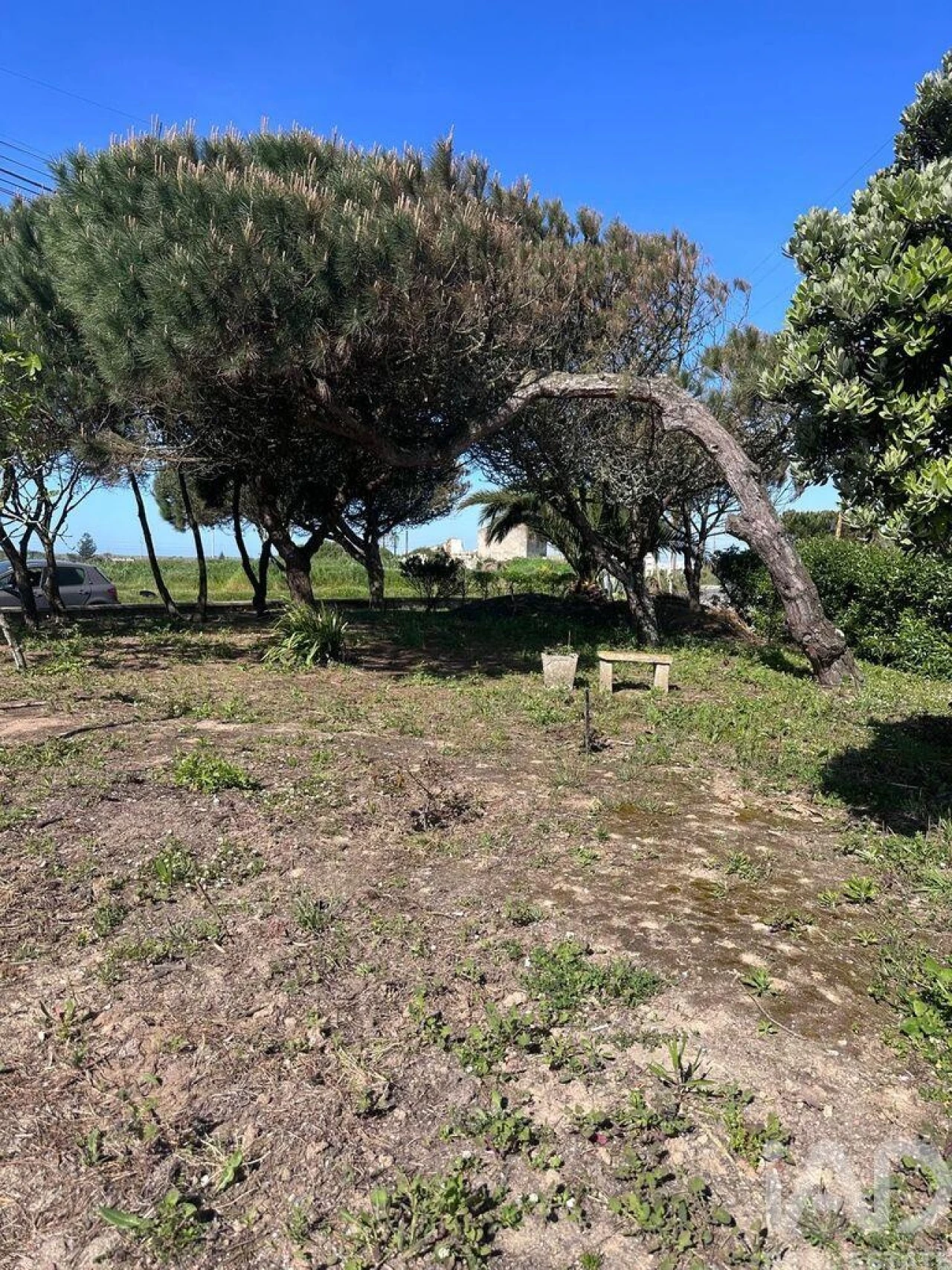 Moradia T3 para Arrendamento em Atouguia da Baleia Foto 22