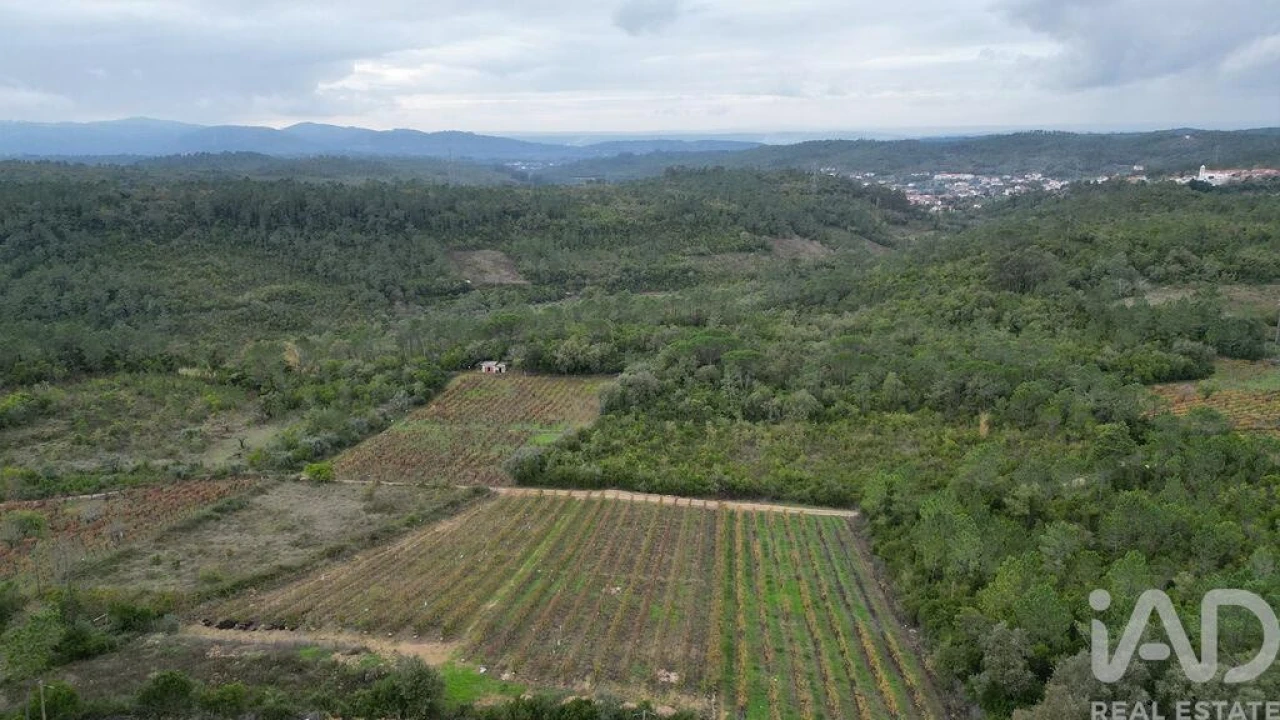 Terreno para Venda em Condeixa-A-Velha e Condeixa-A-Nova Foto 11