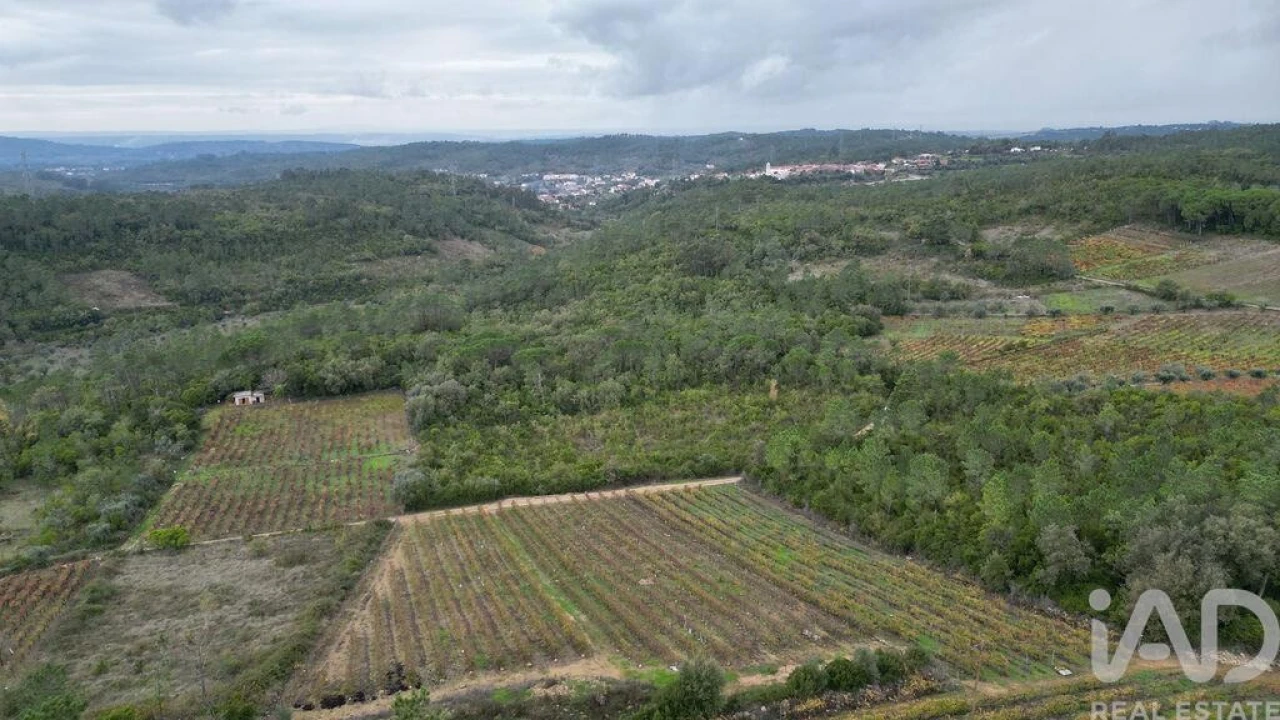 Terreno para Venda em Condeixa-A-Velha e Condeixa-A-Nova Foto 10