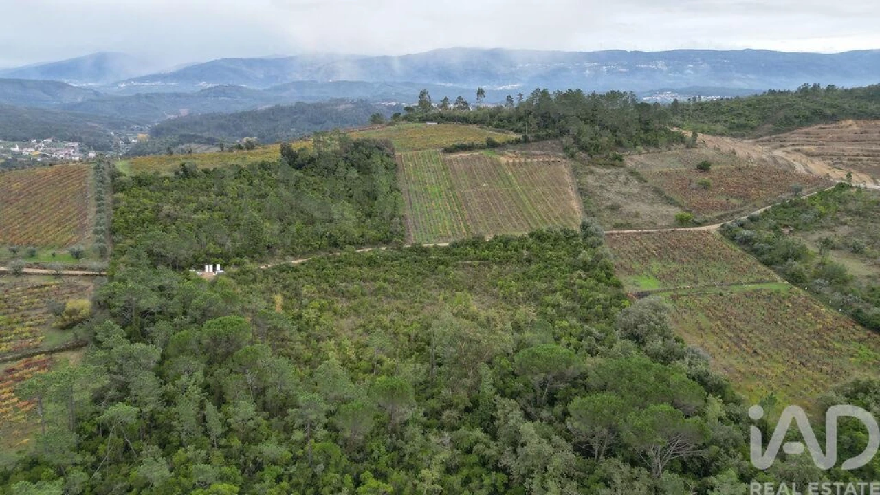 Terreno para Venda em Condeixa-A-Velha e Condeixa-A-Nova Foto 18