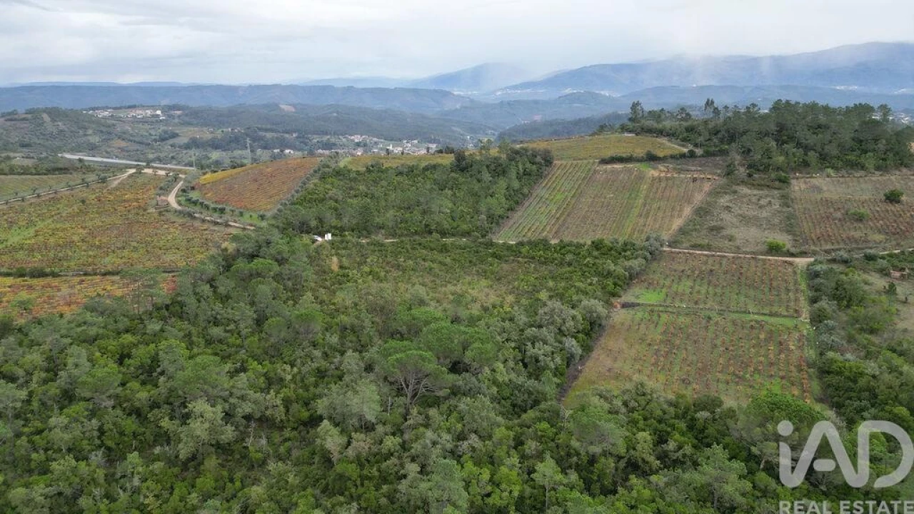 Terreno para Venda em Condeixa-A-Velha e Condeixa-A-Nova Foto 3