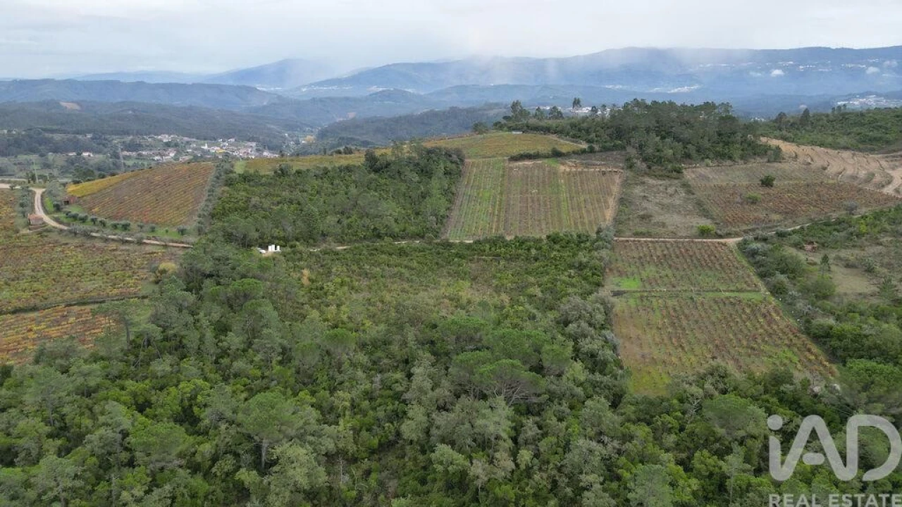 Terreno para Venda em Condeixa-A-Velha e Condeixa-A-Nova Foto 2