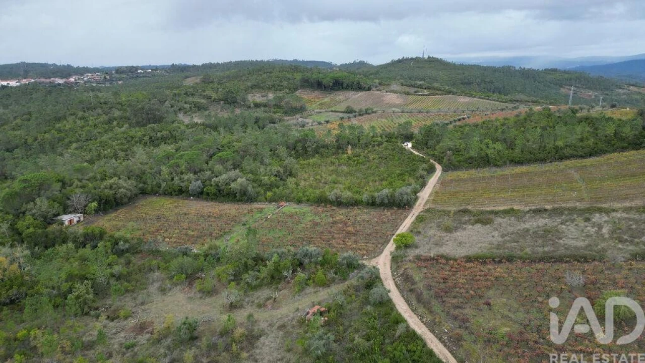 Terreno para Venda em Condeixa-A-Velha e Condeixa-A-Nova Foto 6