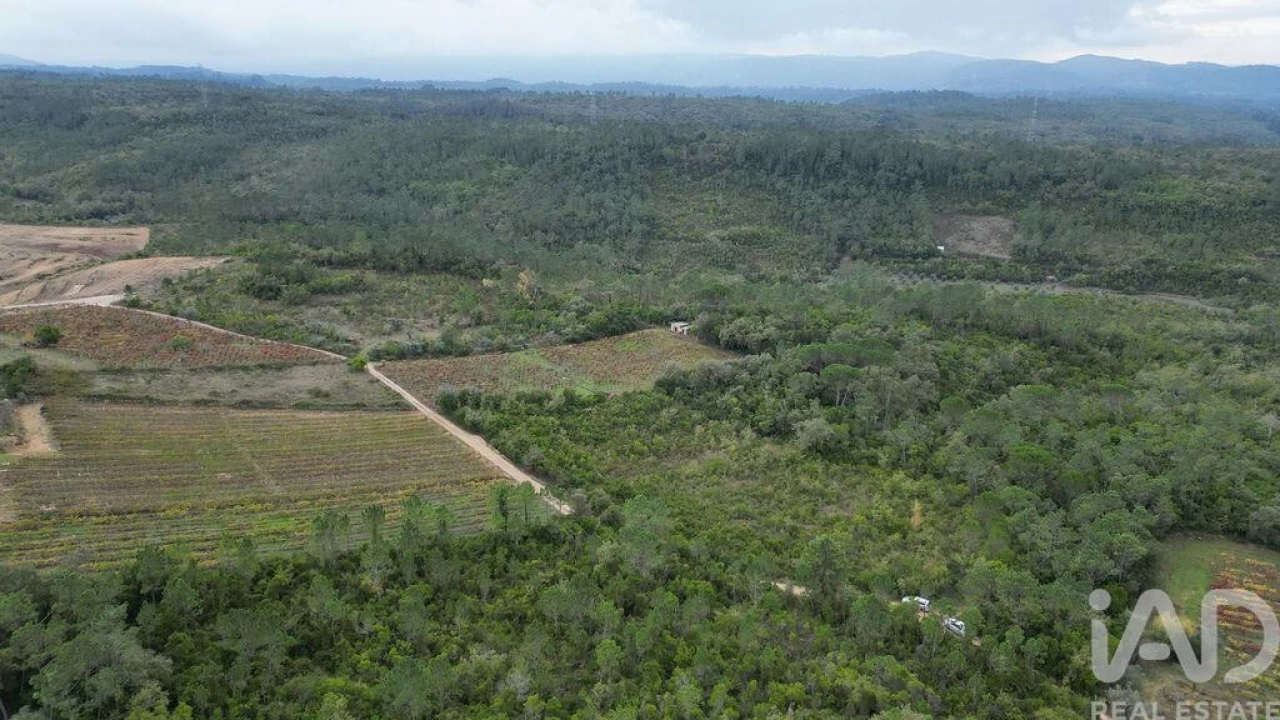 Terreno para Venda em Condeixa-A-Velha e Condeixa-A-Nova Foto 13