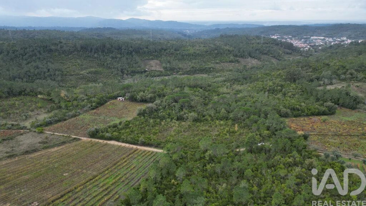 Terreno para Venda em Condeixa-A-Velha e Condeixa-A-Nova Foto 12