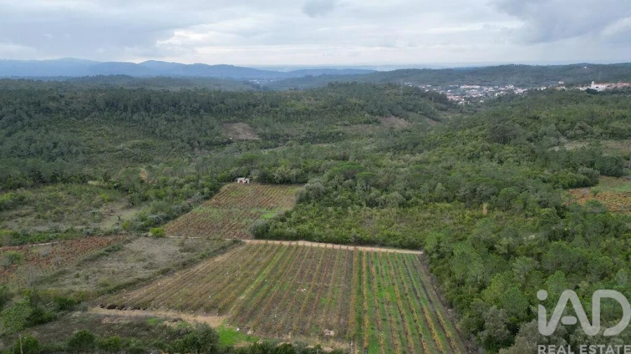 Terreno para Venda em Condeixa-A-Velha e Condeixa-A-Nova Foto 11
