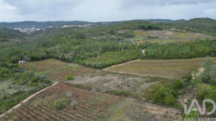 Terreno para Venda em Condeixa-A-Velha e Condeixa-A-Nova Foto 7