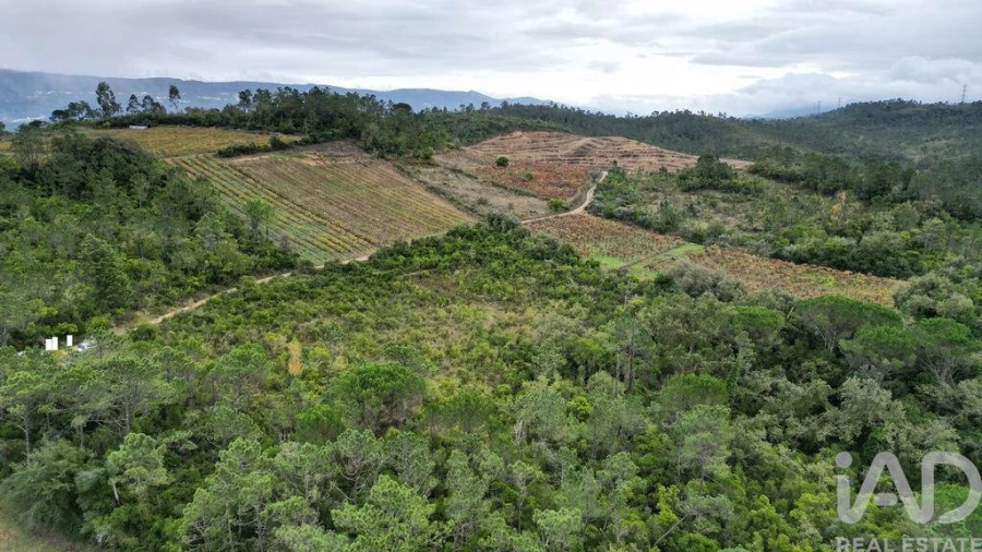 Terreno para Venda em Condeixa-A-Velha e Condeixa-A-Nova Foto 16