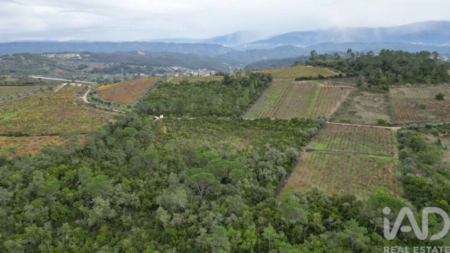 Terreno para Venda em Condeixa-A-Velha e Condeixa-A-Nova Foto 3