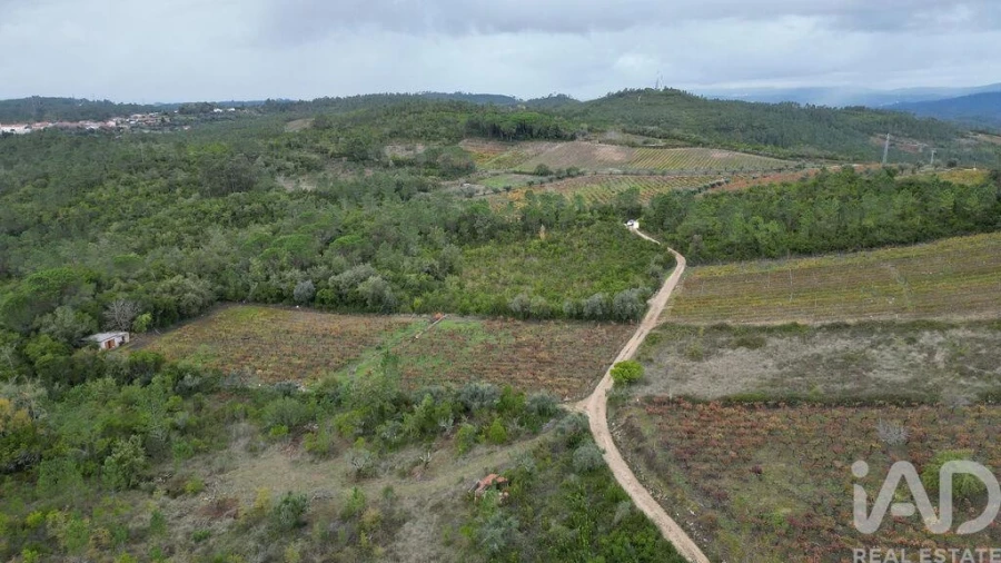 Terreno para Venda em Condeixa-A-Velha e Condeixa-A-Nova Foto 6