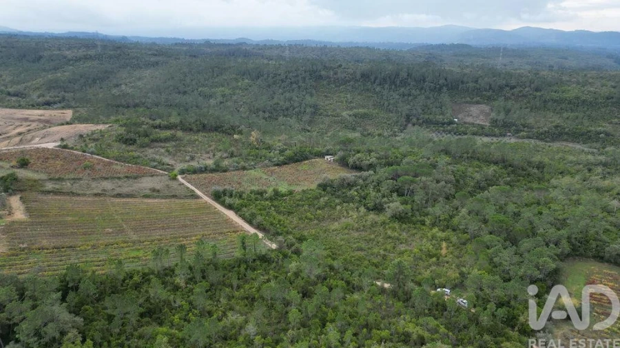 Terreno para Venda em Condeixa-A-Velha e Condeixa-A-Nova Foto 13