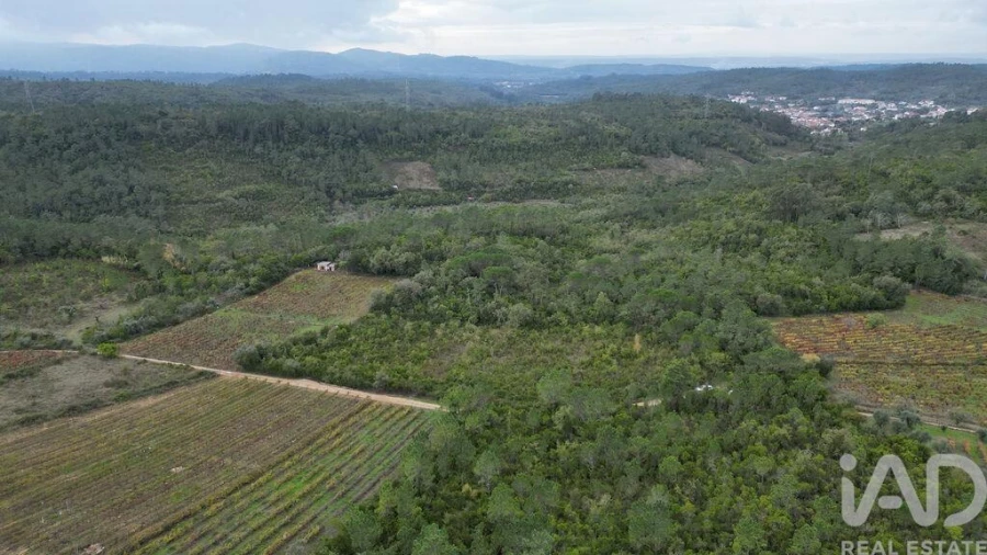 Terreno para Venda em Condeixa-A-Velha e Condeixa-A-Nova Foto 12