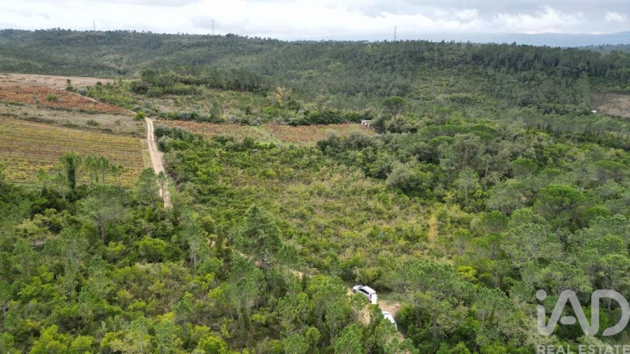 Terreno para Venda em Condeixa-A-Velha e Condeixa-A-Nova Foto 14