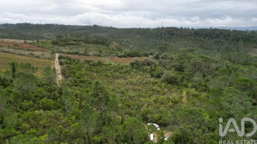 Terreno para Venda em Condeixa-A-Velha e Condeixa-A-Nova Foto 15