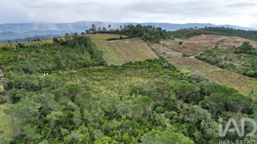 Terreno para Venda em Condeixa-A-Velha e Condeixa-A-Nova Foto 17