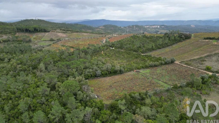 Terreno para Venda em Condeixa-A-Velha e Condeixa-A-Nova Foto 4
