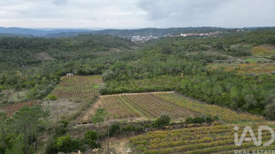 Terreno para Venda em Condeixa-A-Velha e Condeixa-A-Nova Foto 9