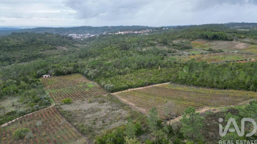 Terreno para Venda em Condeixa-A-Velha e Condeixa-A-Nova Foto 8