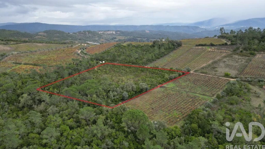 Terreno para Venda em Condeixa-A-Velha e Condeixa-A-Nova