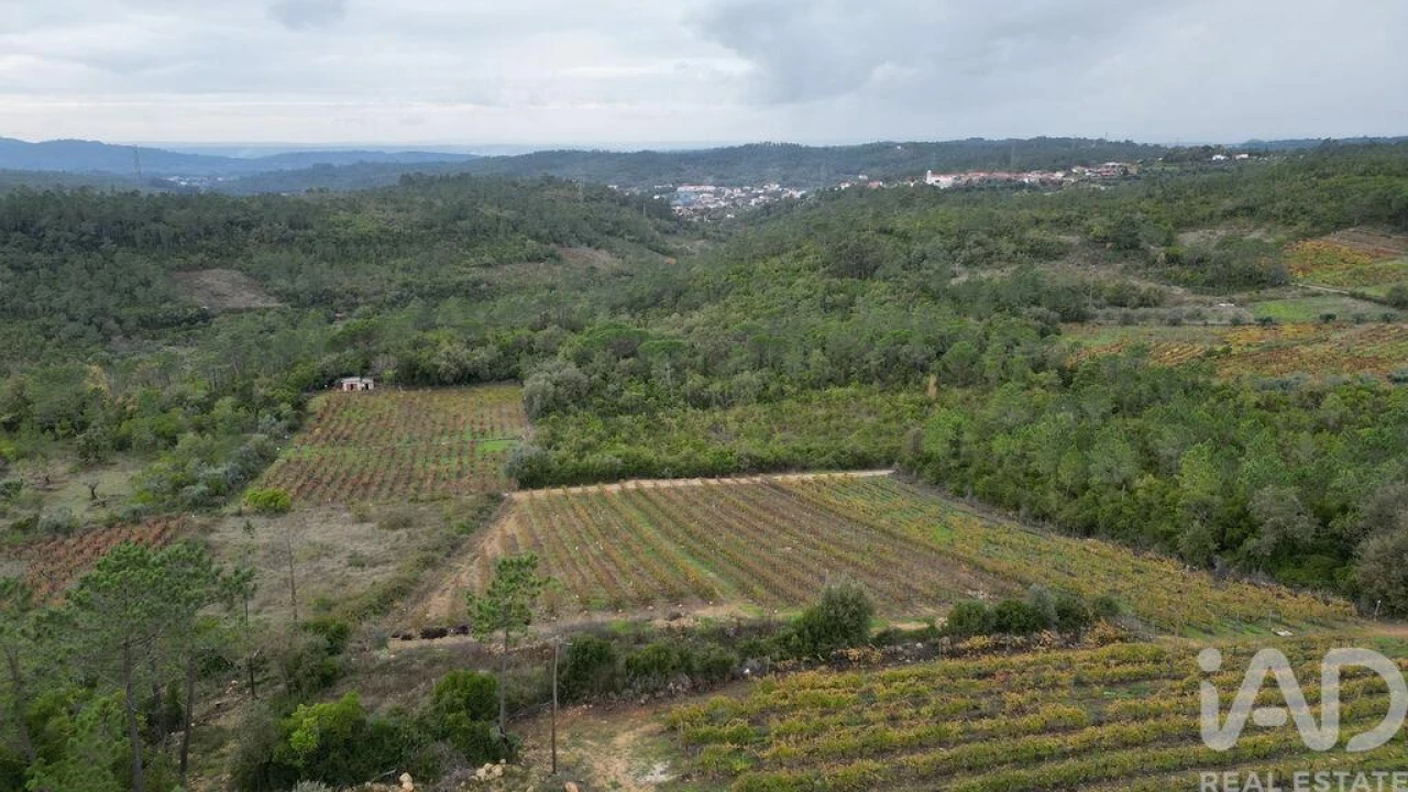 Terreno para Venda em Condeixa-A-Velha e Condeixa-A-Nova Foto 9