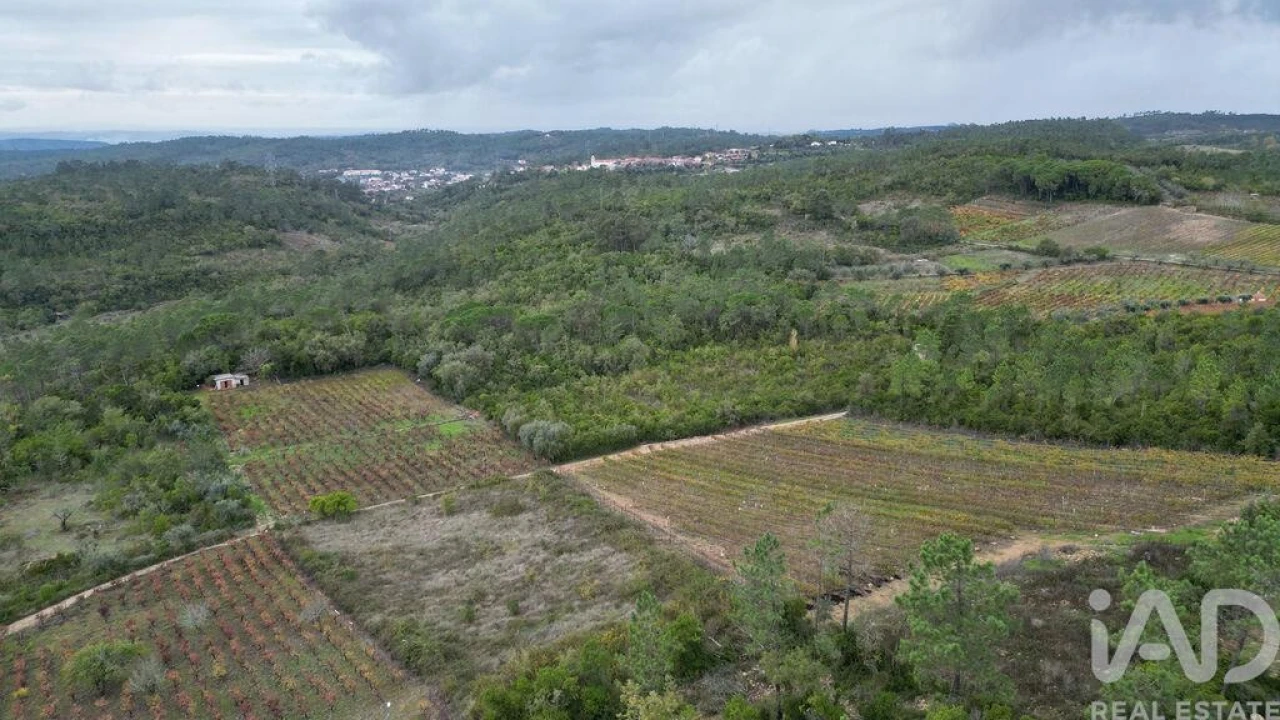 Terreno para Venda em Condeixa-A-Velha e Condeixa-A-Nova Foto 8