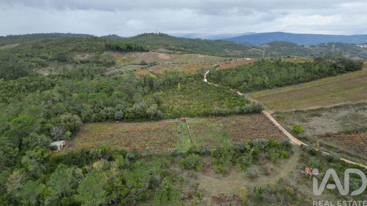 Terreno para Venda em Condeixa-A-Velha e Condeixa-A-Nova Foto 5