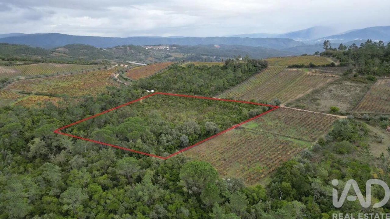 Terreno para Venda em Condeixa-A-Velha e Condeixa-A-Nova Foto 1