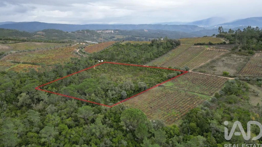 Terreno para Venda em Condeixa-A-Velha e Condeixa-A-Nova