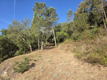 Quinta T4 para Venda em Eiras e São Paulo de Frades