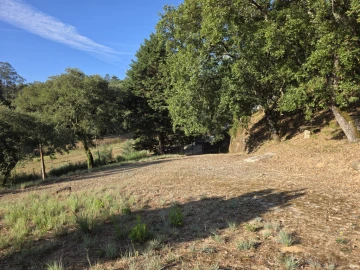 Quinta T4 para Venda em Eiras e São Paulo de Frades