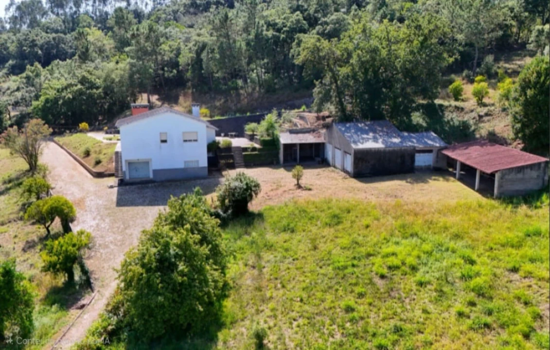 Quinta T4 para Venda em Eiras e São Paulo de Frades Foto 6