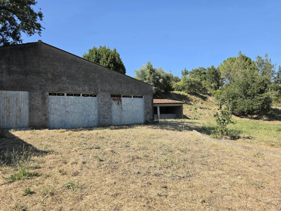 Quinta T4 para Venda em Eiras e São Paulo de Frades Foto 17